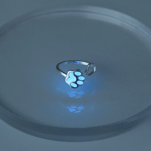Bague Empreinte chat Lumineuse