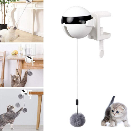JOUET À BOULE POUR CHAT