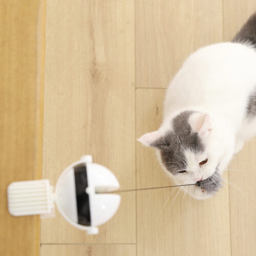 JOUET À BOULE POUR CHAT