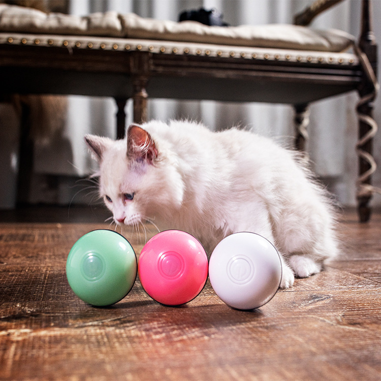LASER BALLE POUR CHAT USB