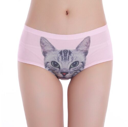 SOUS-VÊTEMENTS CHAT BRITANNIQUES 3D
