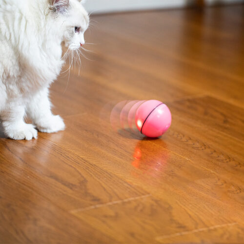 LASER BALLE POUR CHAT USB