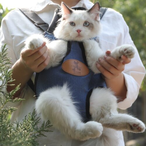 PORTE CHAT POUR LE PRINTEMPS