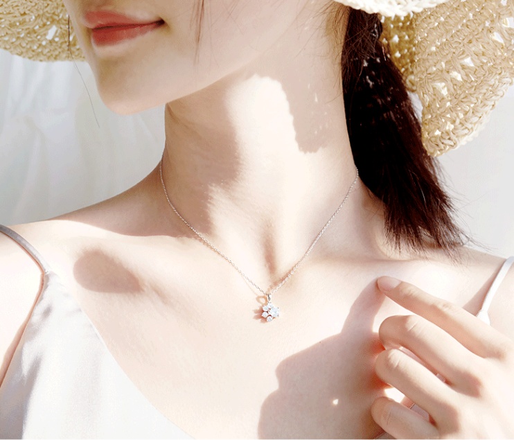 Collier Pate de Chat Argent