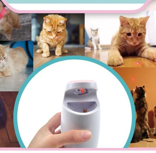JOUET POUR CHAT À LASER INTELLIGENT USB