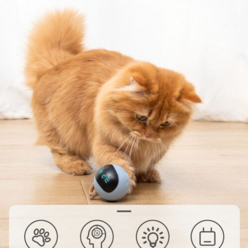JOUET POUR CHAT FITNESS BALL
