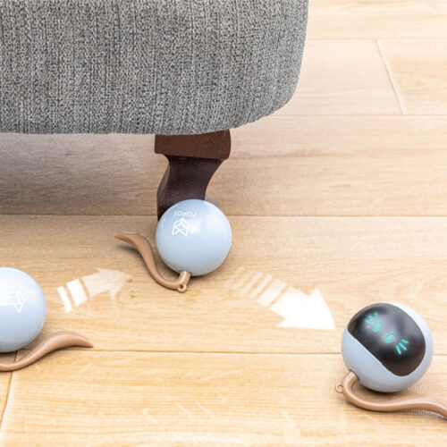 JOUET POUR CHAT FITNESS BALL