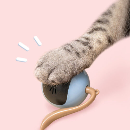 JOUET POUR CHAT FITNESS BALL