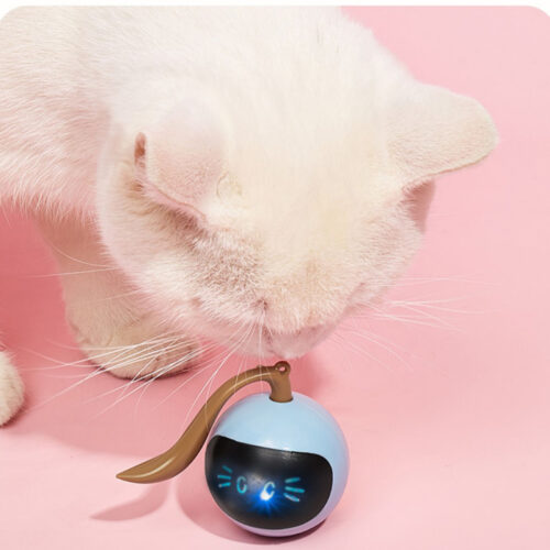 JOUET POUR CHAT FITNESS BALL