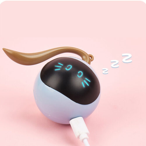 JOUET POUR CHAT FITNESS BALL