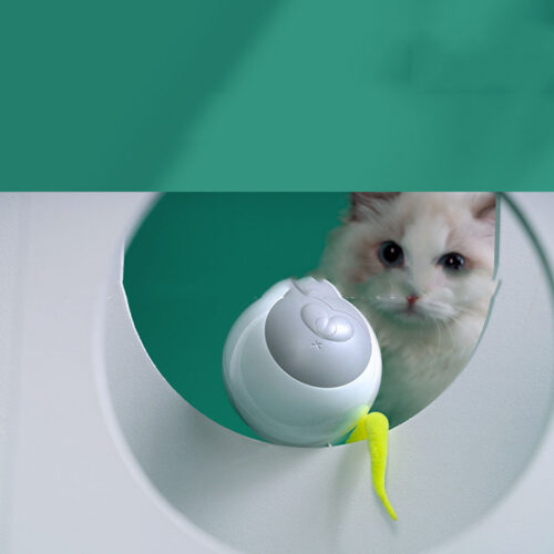 BOULE ROULANTE AUTOMATIQUE LUMINEUSE DE CHAT DRÔLE DE LED