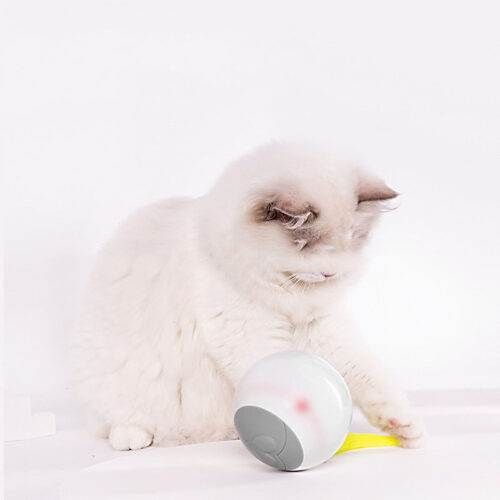 BOULE ROULANTE AUTOMATIQUE LUMINEUSE DE CHAT DRÔLE DE LED