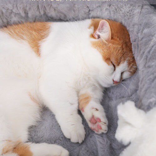 NID POUR PETITS CHAT CREATIVE NET RED HOUSE