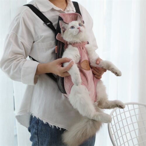 PORTE CHAT POUR LE PRINTEMPS