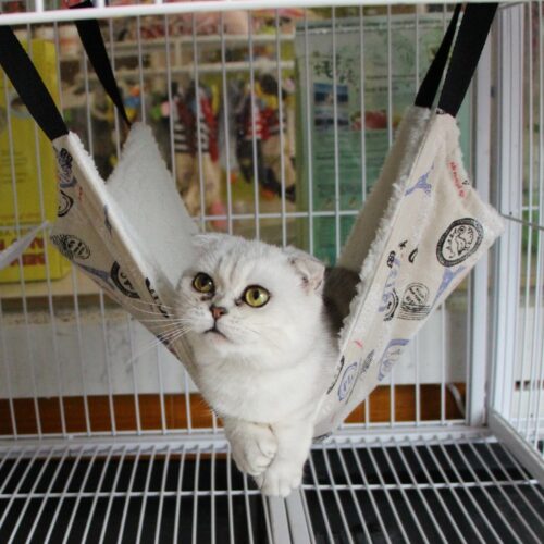 HAMAC À CHATS SUSPENDU