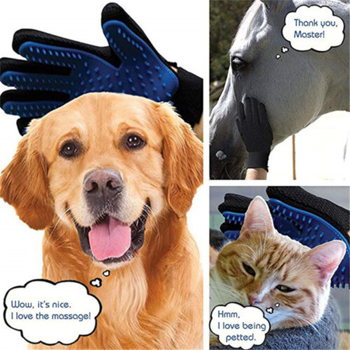 GANT MAGIQUE ANTI POILS POUR CHAT