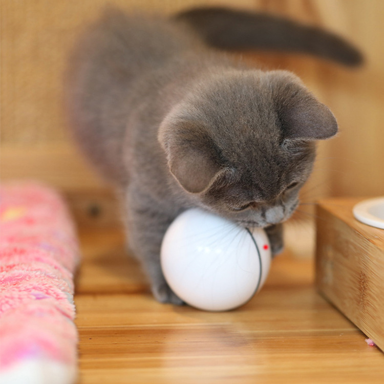 LASER BALLE POUR CHAT USB