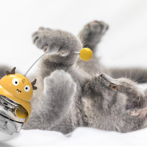 JOUETS ÉDUCATIFS POUR CHATS