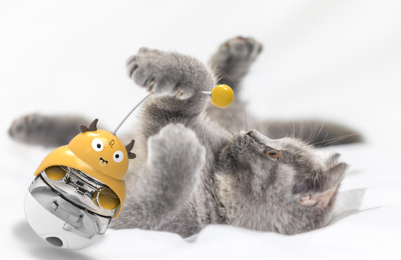JOUETS ÉDUCATIFS POUR CHATS
