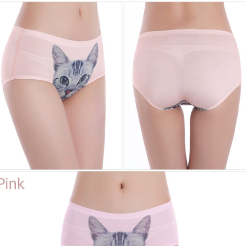 SOUS-VÊTEMENTS CHAT BRITANNIQUES 3D