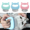 BROSSE POUR CHAT