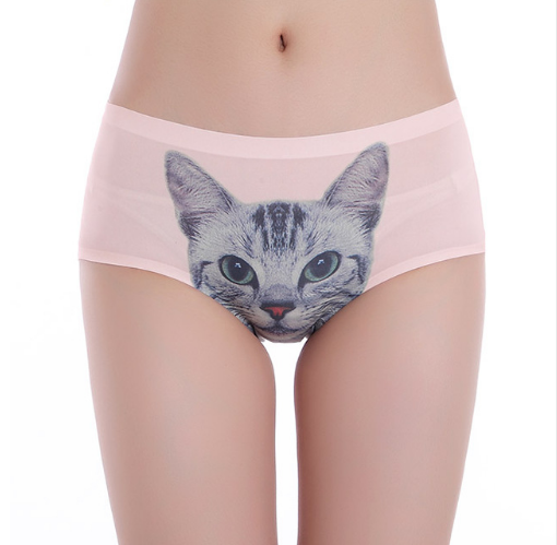 SOUS-VÊTEMENTS CHAT BRITANNIQUES 3D