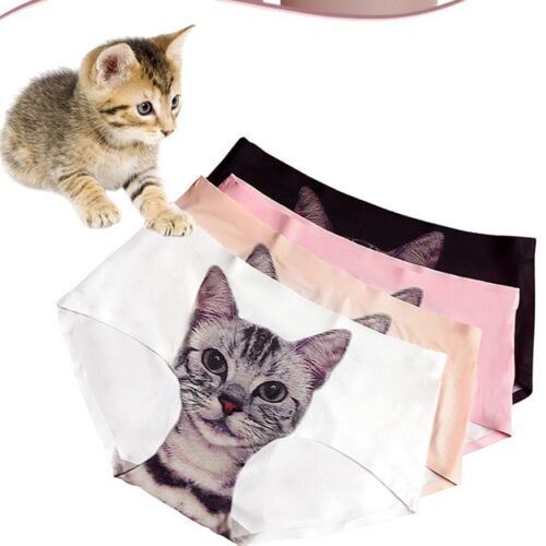 SOUS-VÊTEMENTS CHAT BRITANNIQUES 3D