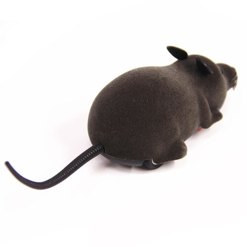 JOUET SOURIS POUR CHAT TÉLÉCOMMANDÉE