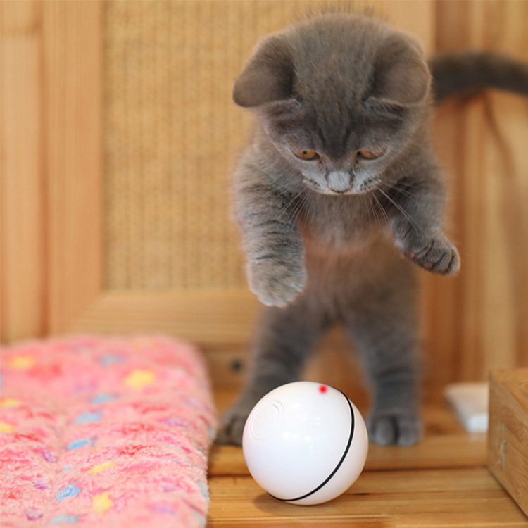 LASER BALLE POUR CHAT USB