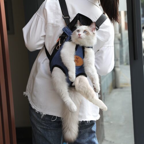 PORTE CHAT POUR LE PRINTEMPS