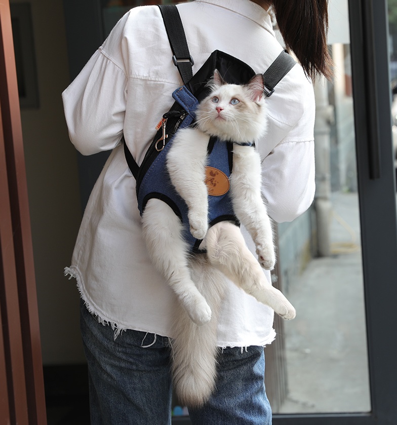 PORTE CHAT POUR LE PRINTEMPS