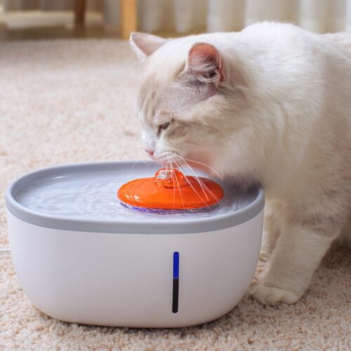 FONTAINE D’EAU POUR CHAT LED USB