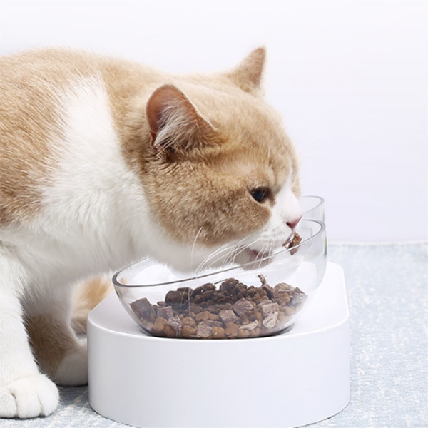 GAMELLE CHAT AJUSTABLE