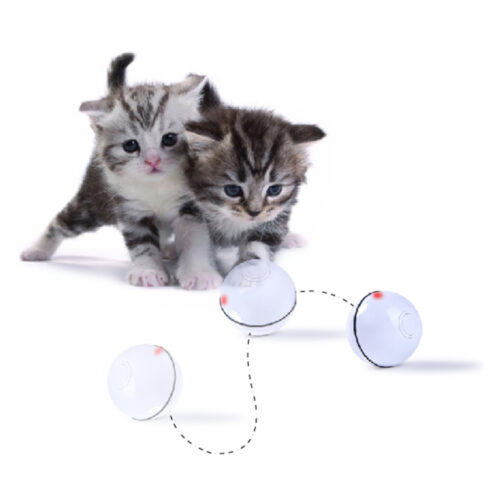 LASER BALLE POUR CHAT USB