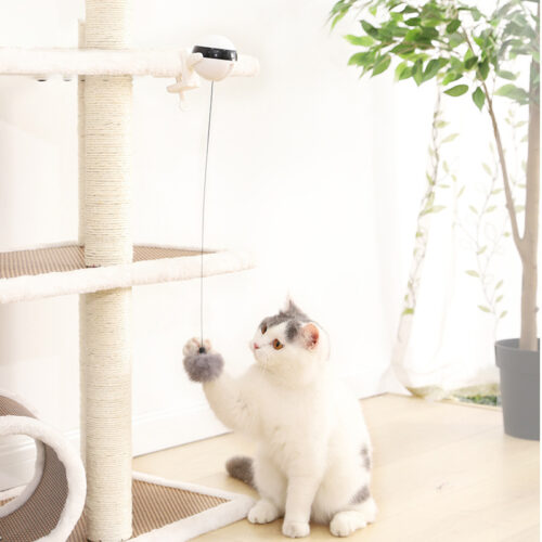 JOUET À BOULE POUR CHAT
