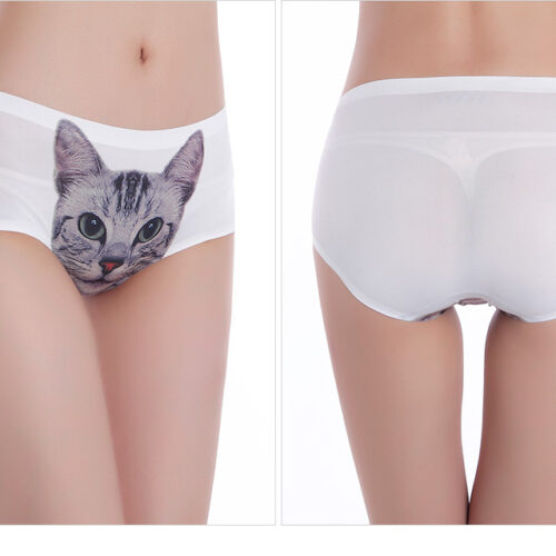 SOUS-VÊTEMENTS CHAT BRITANNIQUES 3D
