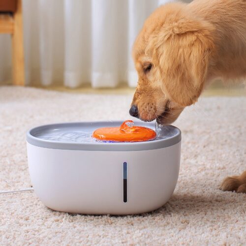 FONTAINE D’EAU POUR CHAT LED USB