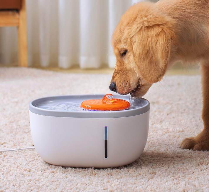 FONTAINE D’EAU POUR CHAT LED USB