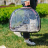 SAC DE TRANSPORT TRANSPARENT CHAT