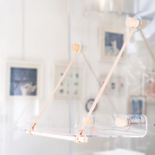 LIT TRANSPARENT POUR CHAT