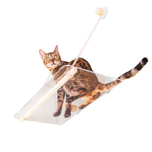 LIT TRANSPARENT POUR CHAT