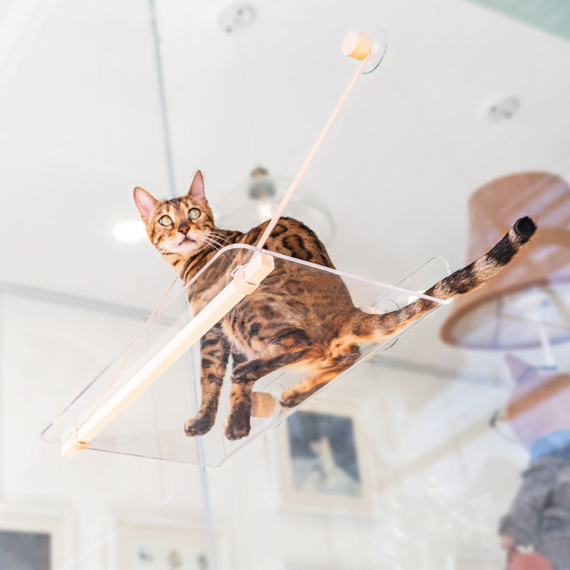 LIT TRANSPARENT POUR CHAT