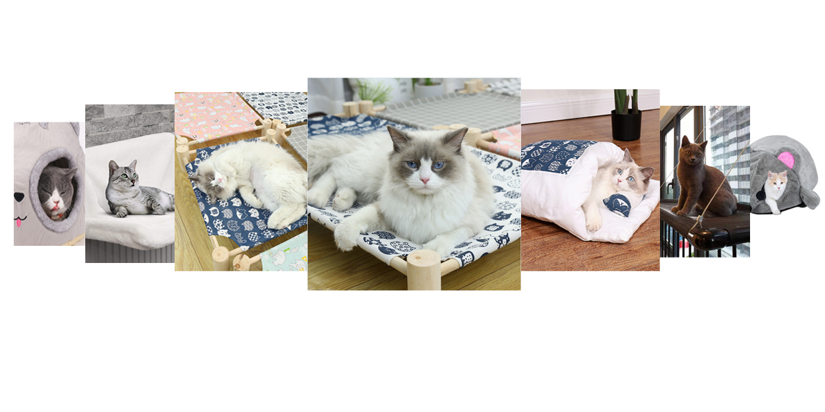 couchage-chat