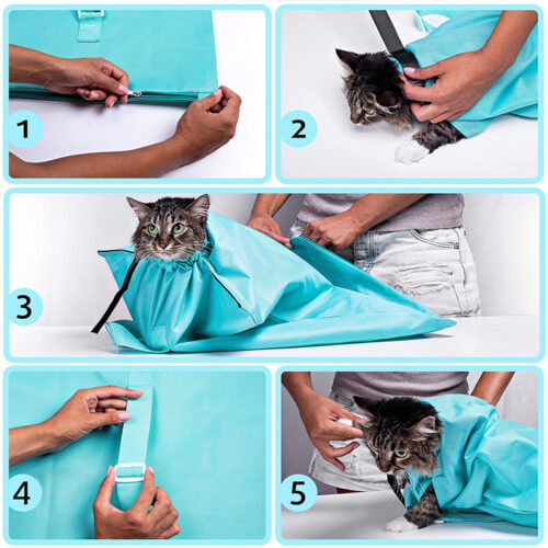 Sac portable pliable