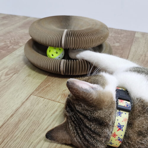 Planche à gratter pour chat Magic avec cloche