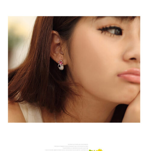Boucles d’oreilles Fashion Crystal