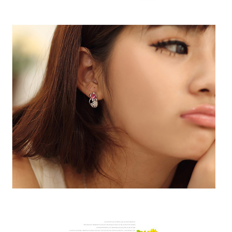 Boucles d’oreilles Fashion Crystal