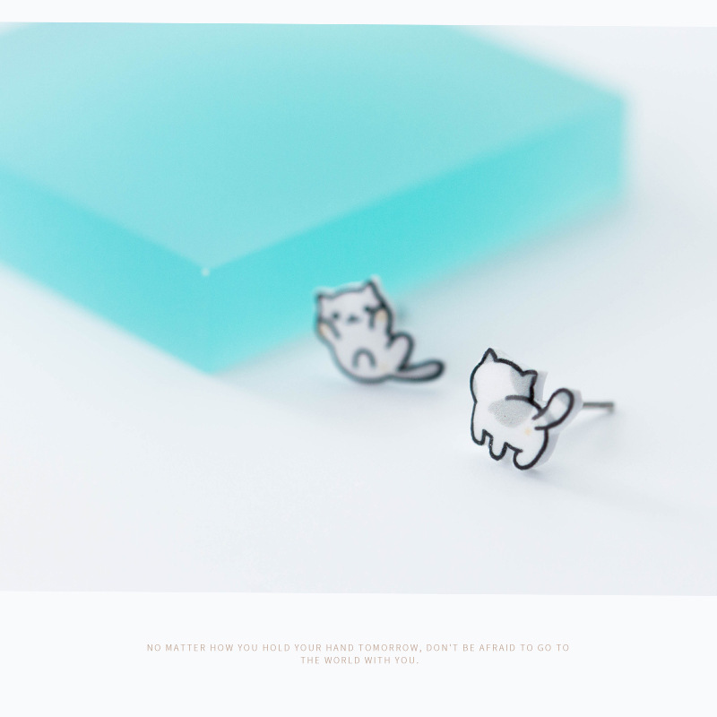 Boucles d’oreilles S925