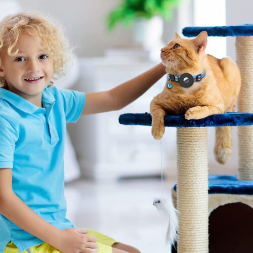 Collier pour Chat Airtag Apple