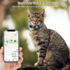 Collier-pour-Chat-Airtag-Apple